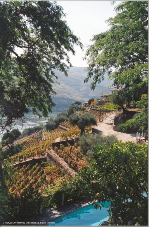 From Quinta De La Rosa No 8.jpg